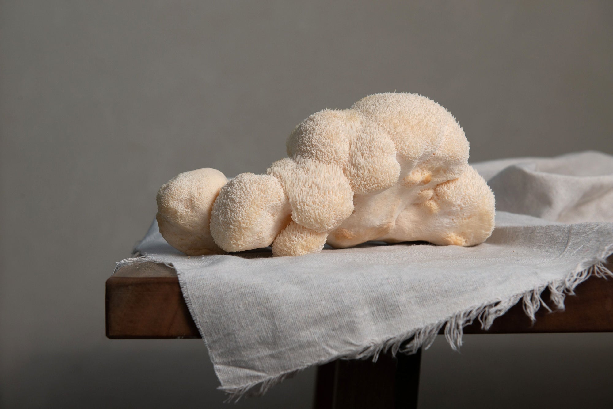 I Tried Lion's Mane for a Month—Here’s What It Did for My Mental Health